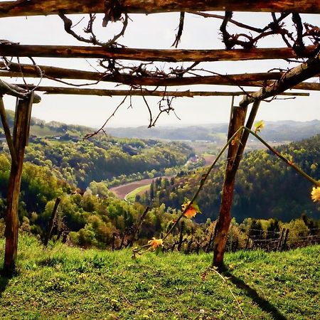 Ferienhaus Haring Kitzeck im Sausal Dış mekan fotoğraf