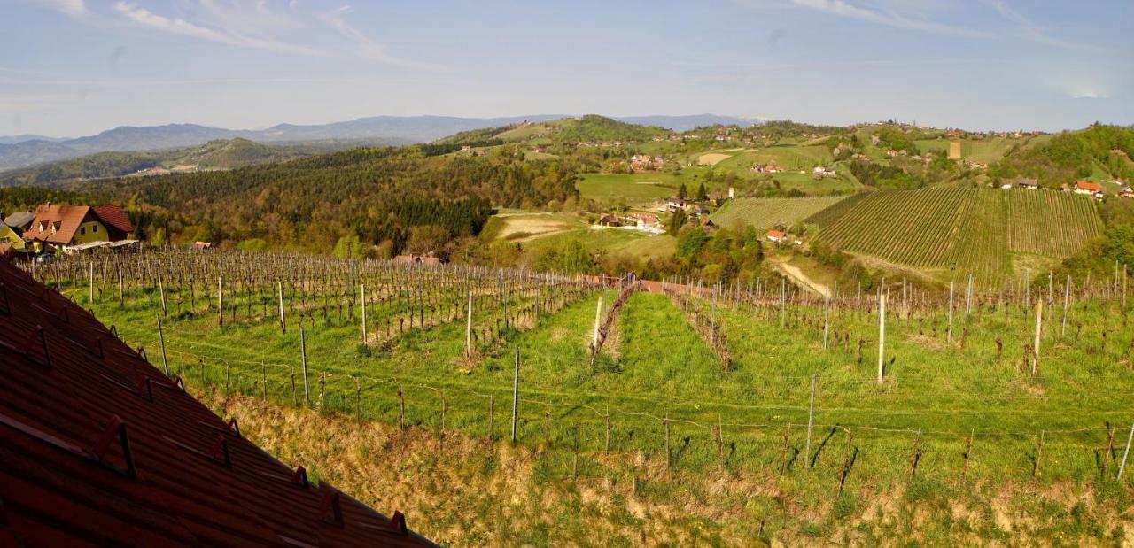 Ferienhaus Haring Kitzeck im Sausal Dış mekan fotoğraf