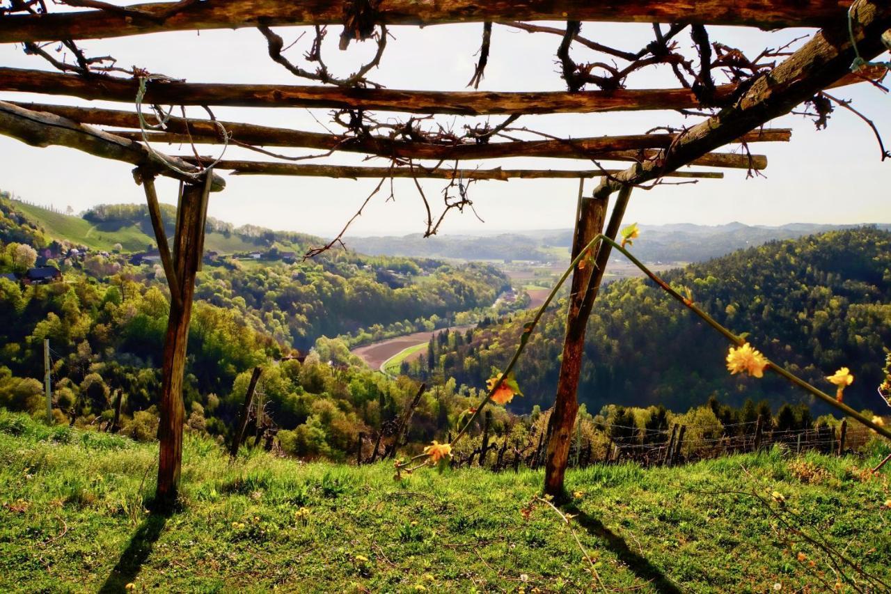 Ferienhaus Haring Kitzeck im Sausal Dış mekan fotoğraf